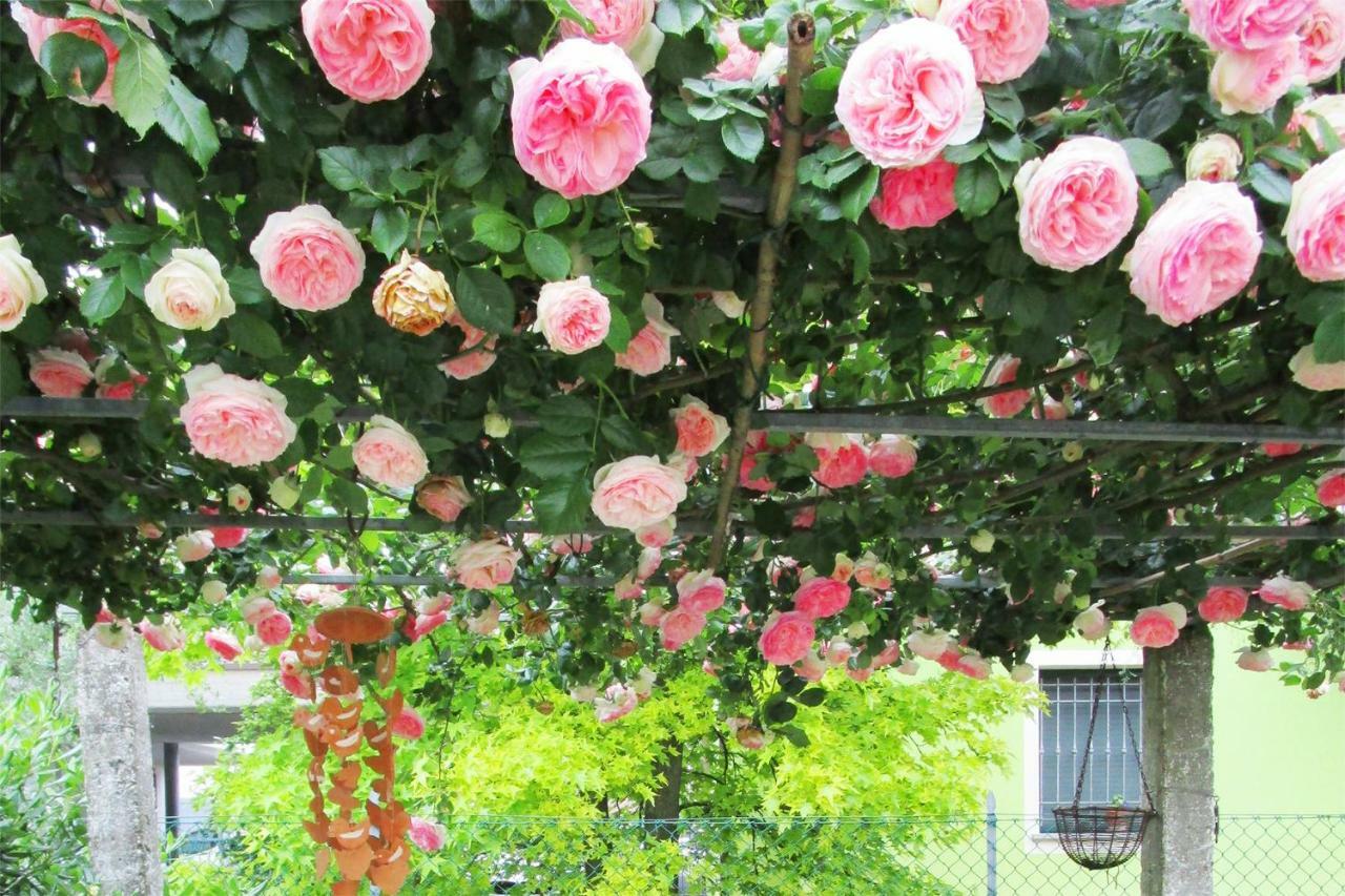Bed And Breakfast Lucia Cesena Exterior foto